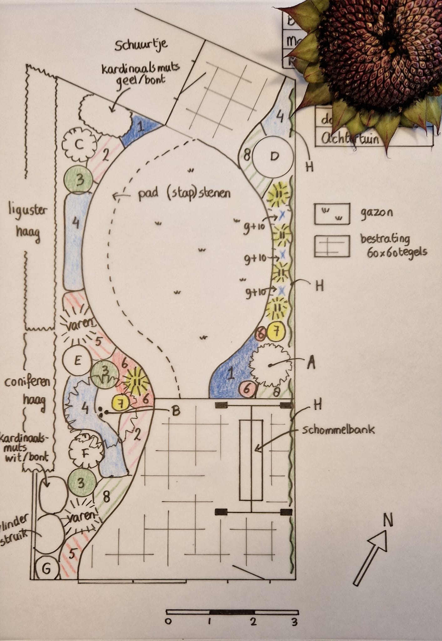 Tuinontwerp